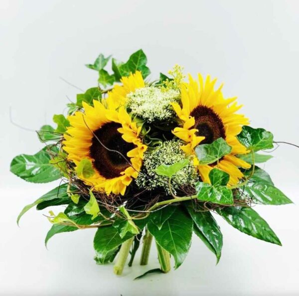 Yellow king Helianthus fresh flowers delivery gifts