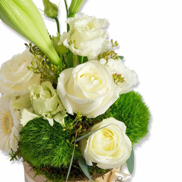 Caroles fleurs fraiches fleurs en boite livraison décoration cadeaux Bouquet de fleurs roses blanc