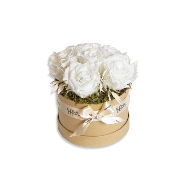 Willow whit delivery gift box decoration